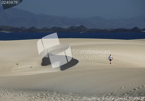 Image of EUROPE CANARY ISLANDS FUERTEVENTURA