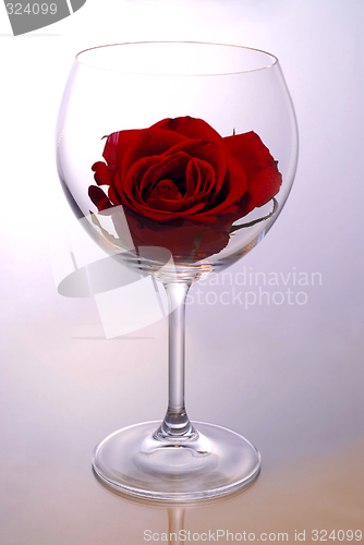 Image of Wine glass with rose