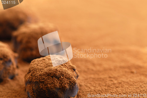 Image of Chocolate truffles