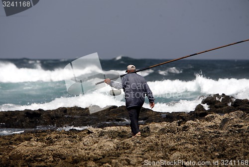 Image of EUROPE CANARY ISLANDS FUERTEVENTURA