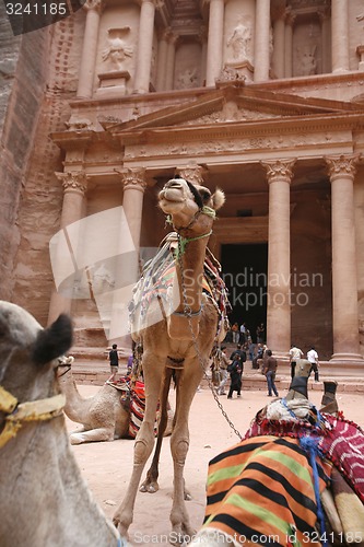 Image of ASIA MIDDLE EAST JORDAN PETRA