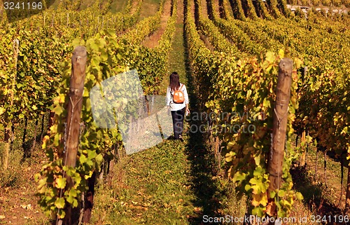 Image of EUROPE FRANCE ALSACE