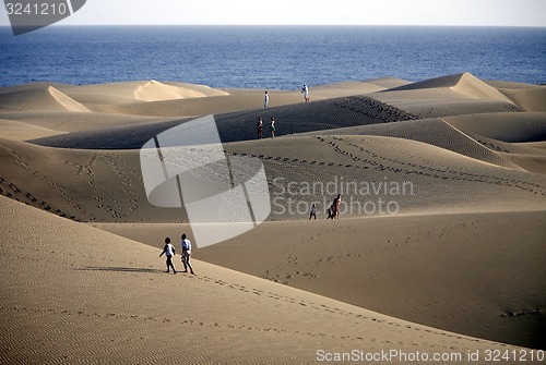 Image of EUROPE SPIAN GRAN CANARY