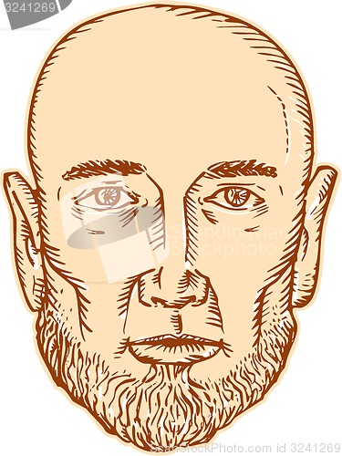 Image of Male Bald Head Bearded Etching