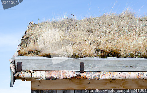 Image of Roof covered with grass