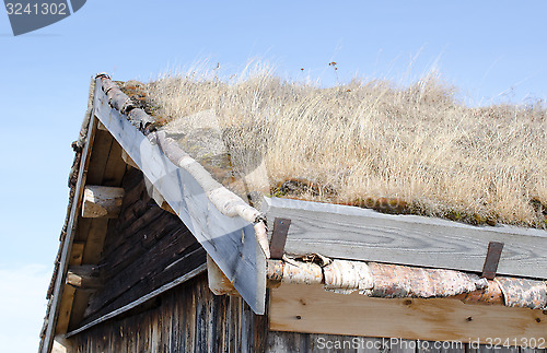 Image of Roof covered with grass