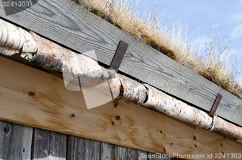 Image of Roof covered with grass