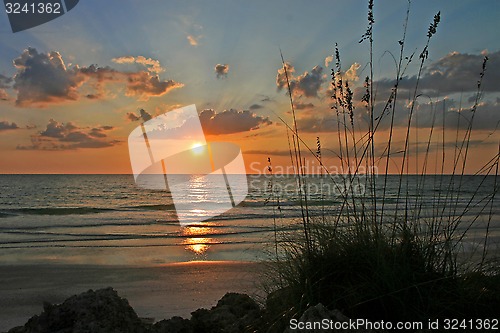 Image of Ocean Sunset
