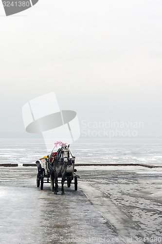 Image of Horse harnessed to a carriage in winter