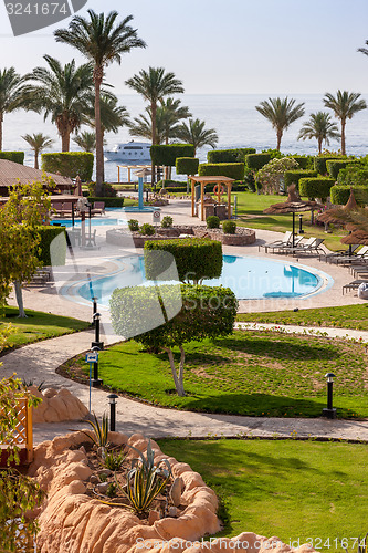 Image of Palm alley on  tropical egyptian beach