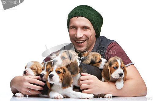 Image of The man and big group of a beagle puppies