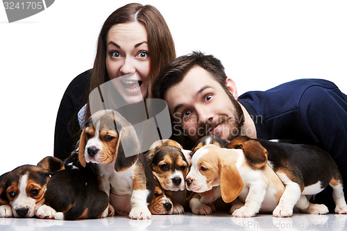 Image of The man, woman and big group of a beagle puppies