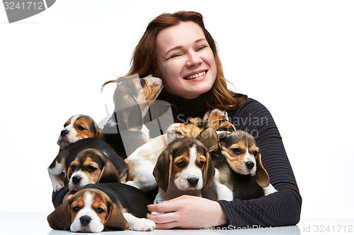 Image of The woman and big group of a beagle puppies