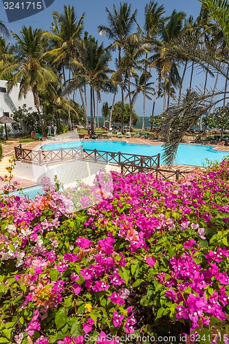 Image of Swimming pool, palm trees, pink flowers and blue sky