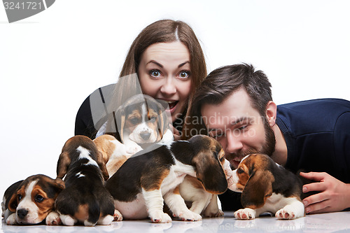 Image of The man, woman and big group of a beagle puppies