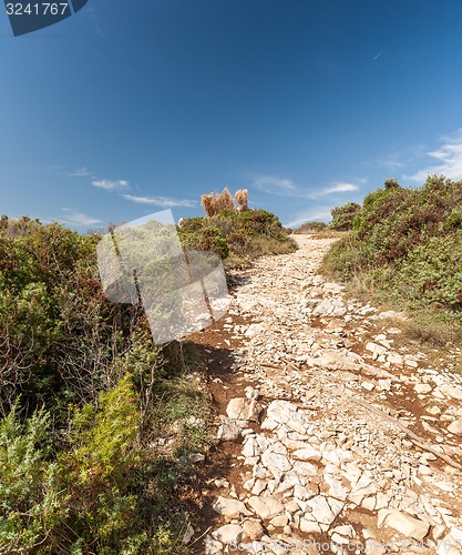 Image of Istria, Croatia. rocky path in mountains on a sunny day