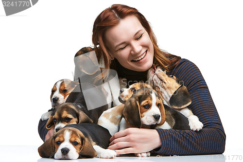 Image of The woman and big group of a beagle puppies