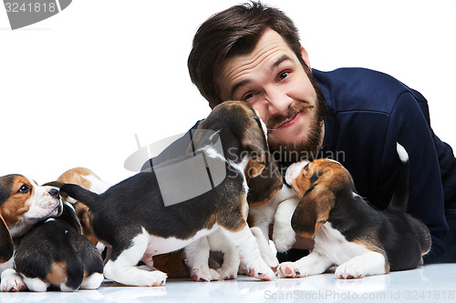 Image of The man and big group of a beagle puppies