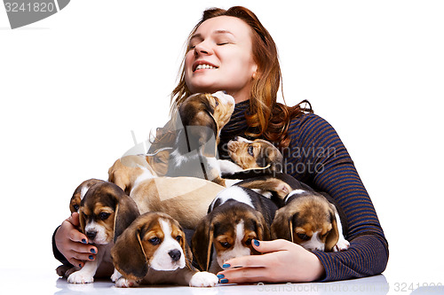 Image of The woman and big group of a beagle puppies