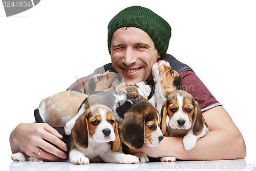 Image of The man and big group of a beagle puppies