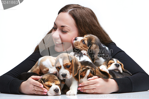 Image of The woman and big group of a beagle puppies