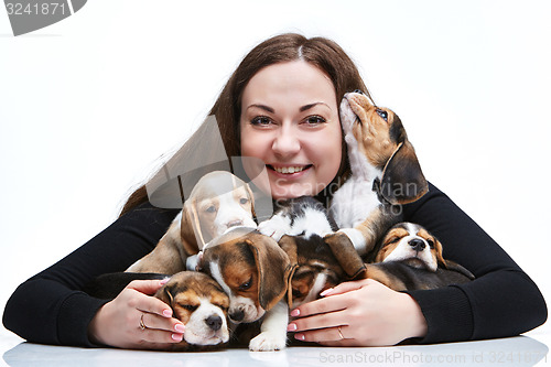 Image of The woman and big group of a beagle puppies