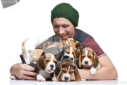 Image of The man and big group of a beagle puppies