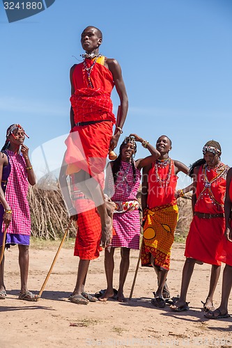 Image of MASAI MARA,KENYA, AFRICA- FEB 12 Masai warriors dancing traditional jumps as cultural ceremony,review of daily life of local people,near to Masai Mara National Park Reserve, Feb 12, 2010