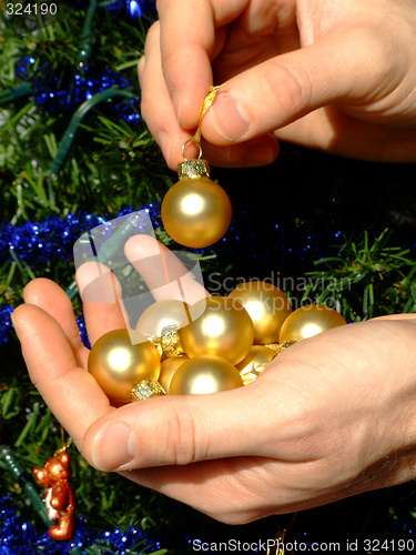 Image of Making the Christmas tree