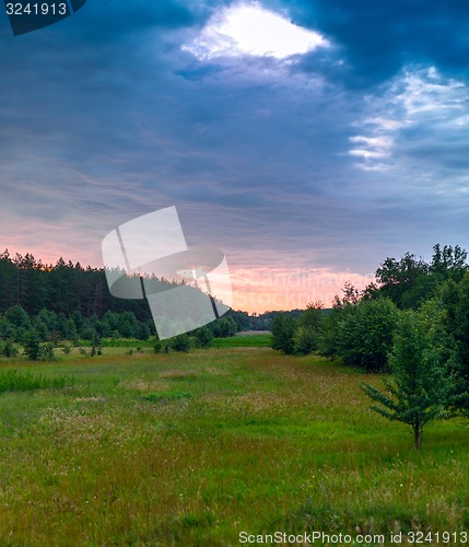 Image of Glade green wood and blue sky with clouds
