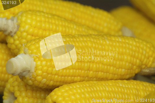 Image of Corn on the cob