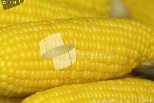 Image of Corn on the cob abstract