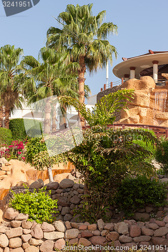 Image of The tropical garden in Egypt.