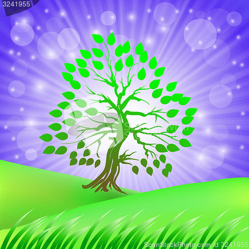 Image of Green Tree