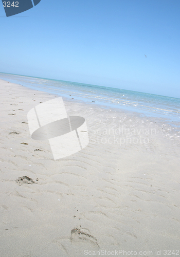 Image of Tropical beach