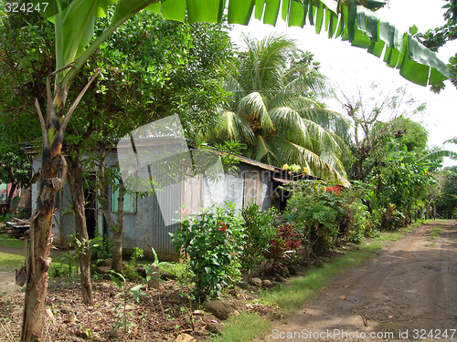 Image of native house nicaragua