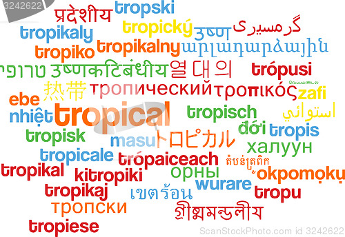 Image of Tropical multilanguage wordcloud background concept