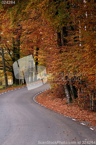 Image of Autumn Road