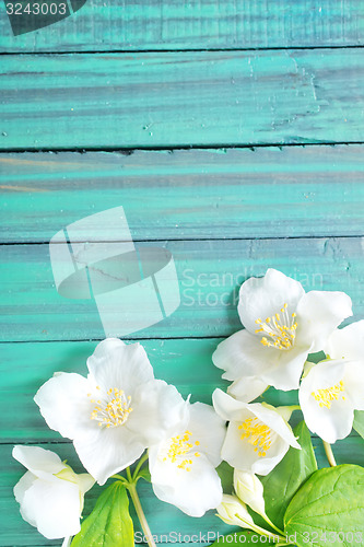 Image of flowers