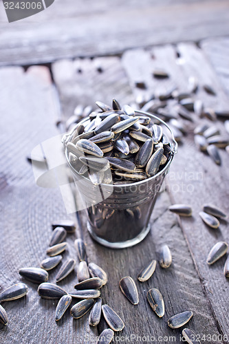 Image of sunflower seed