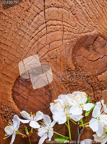 Image of background