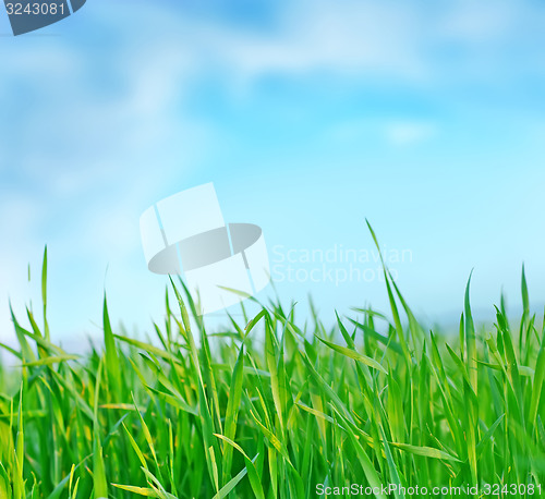 Image of nature background