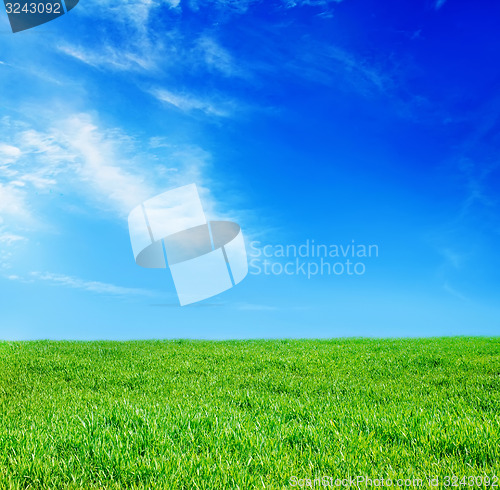 Image of grass and sky