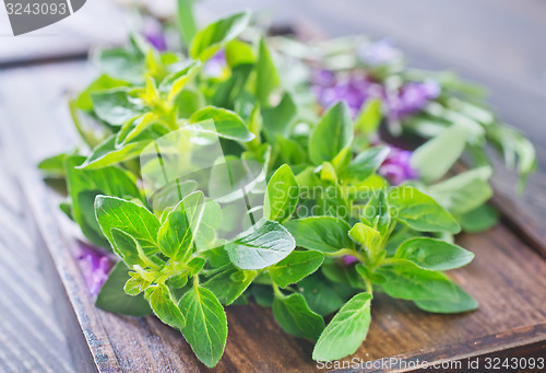 Image of aroma herbs