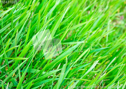 Image of nature background