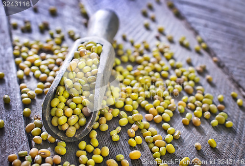 Image of mung beans