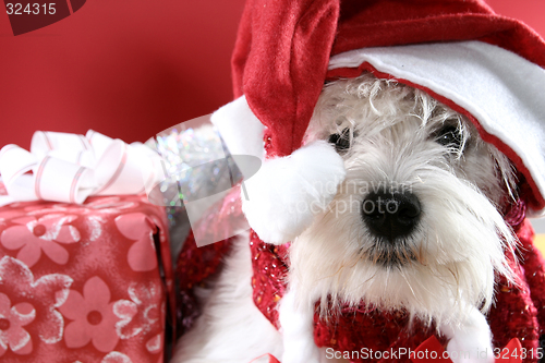 Image of Santa claus