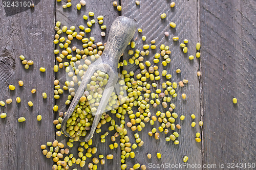 Image of mung beans