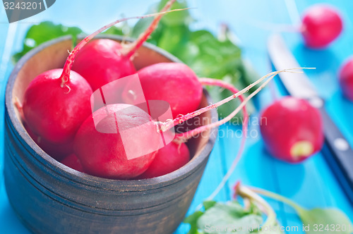 Image of radish