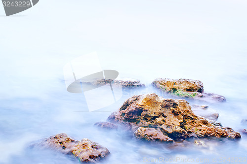 Image of nature
